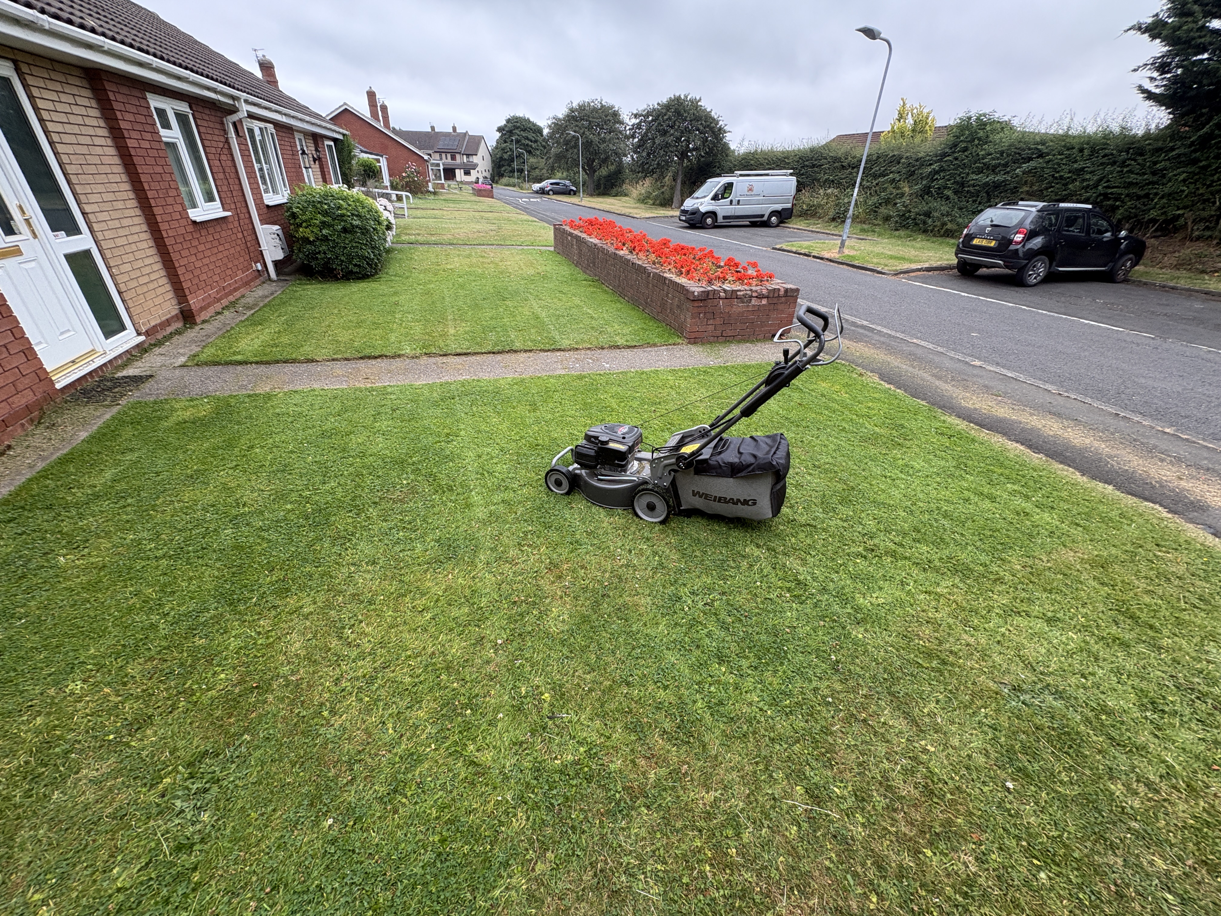 Lawn mowing during a regular garden maintenance visit in Newcastle